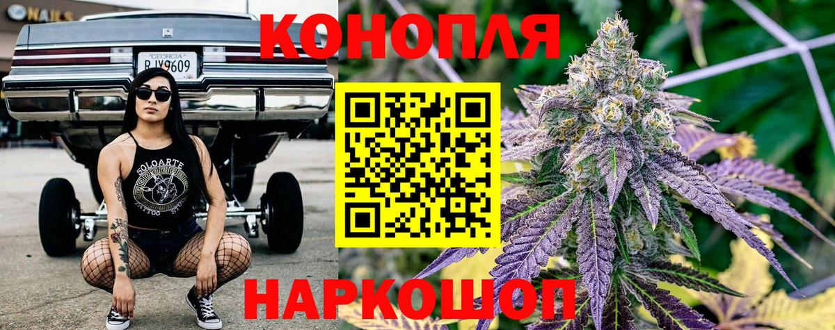 Бошки Шишки THC 21% Кинель